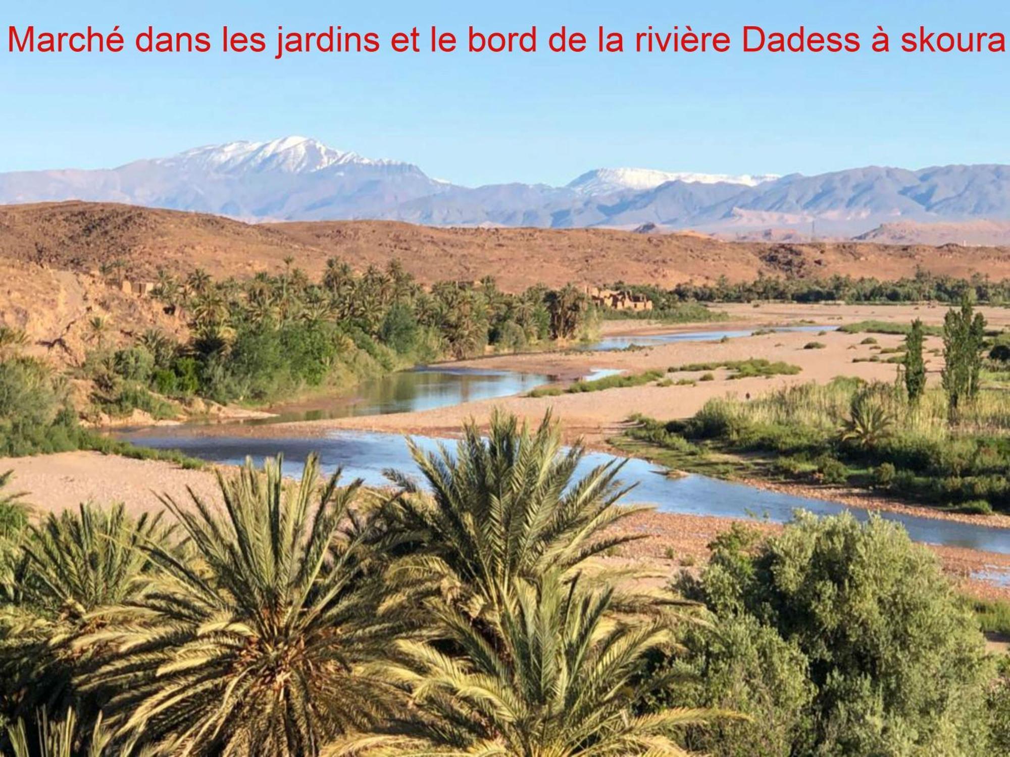 Kasbah Elmehdaoui Bed & Breakfast สกูรา ภายนอก รูปภาพ